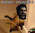 TONIGHT WE DINE ON INVISIBLE DOGBONE!!!