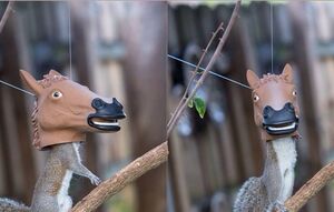 Horse head squirrel feeder.jpg