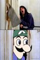 Heeeere's Weegee!