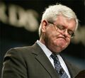 This article makes Gingrich a sad Newt