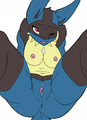 Told ya that Lucario females exist.