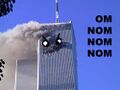 OM NOM NOM NOM did WTC