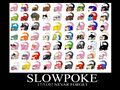 Slowpoke memory