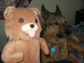 Boo and a Pedobear Plush.