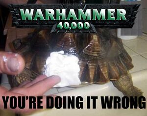 Doingitwrongturtle.jpg