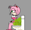 It's true that Rockosocko (and ButLova too) masturbates to Amy Rose on the toilet taking a shit.