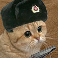 Commie cat...