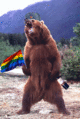 Typical homosexual bear in Russia.