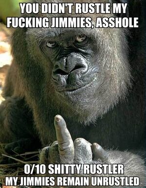 You Didn't Rustle My Jimmies.jpg