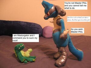 1202987083.dragonphlu lucario and masturgator-comic.jpg