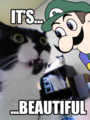 Weegee is also popular among cats...