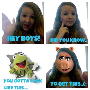 Four panel stay away kermit.jpg