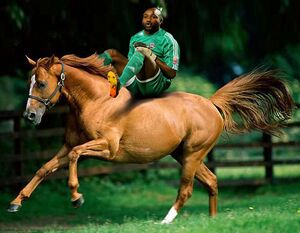 Muteba Kidiaba Horse.jpg