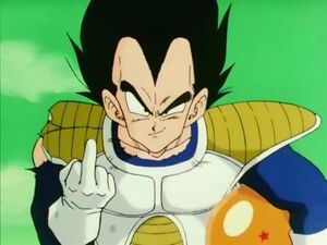 Vegetafinger.jpg