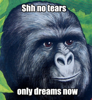 Jimmies only dreams now.png