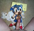 A typical Sonicfag recreating his fantasies.