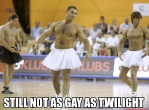 Twilight - Still Not As Gay - 01.jpg