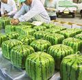 In Japan, Watermelons Come in Squares!