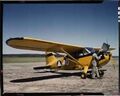 Someone on /x/ identified this: It's a Piper Cub (that color became known as Piper Cub Yellow as they spammed so many of them into service back in the day), that rear marking identifies it as being a plane used for Civil Air Patrol aka CAP. The number 40 on it is a designation of it's place in the wing it was a part of. Given the background and runway impossible to place geographically for me so far other than it's someplace that has clay base in abundance (the whole midwest and many plains staes-not much help there). Unfortunately, with being able to identify what airfield it's I have no idea what wing it was a part of. Hope this helps at some point.