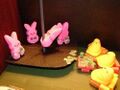 A Little Peep Show!