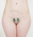 Essex girls keep their Christmas trees in their underwear.