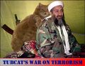 Osama Bin Laden? Tubcat took him out.