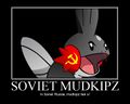 In Soviet Russia, Mudkipz liek you!