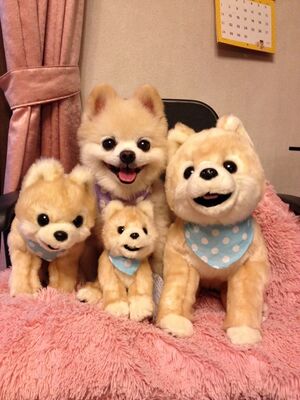 Dog plushies.jpg