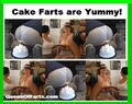 Cake Farts R Yummy!