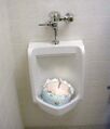 A urinal cake!