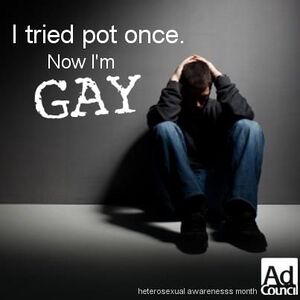 Marijuana - Turned Gay.jpg