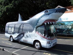 Sharks - Vehicles - 01.jpg