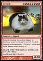 Tankcat card