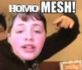 Homomesh?