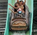 logs flowing down a river ride