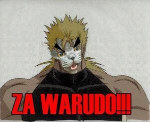 Za Warudo Cat 2.JPG