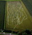 Cornfield car chase.