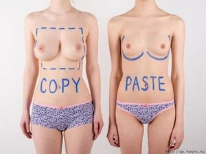 Copy Paste tits.jpg