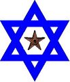 The Jewish Barnstar may be awarded to editors who greatly and positively contribute to world domination.