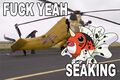 FUCK YEAH SEAKING