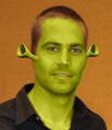 Shrek yourself before you wreck yourself, brothers.