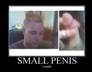 Small penis motivational.jpg