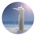 Longcat