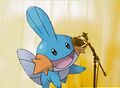 Mudkip Rain