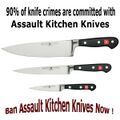 BAN ASSAULT KNIVES!!11