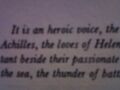 calling helen of troy 'an heroic voice' is pretty fucking lulzy, in general