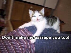 Assrapekitty.jpg