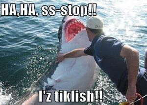 Sharks - Captions - 12.jpg