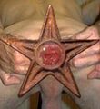 The coveted goatse barnstar.