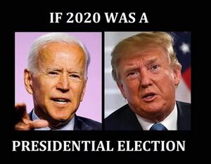 2020 - If 2020 was a presidential election - oh wait.jpg